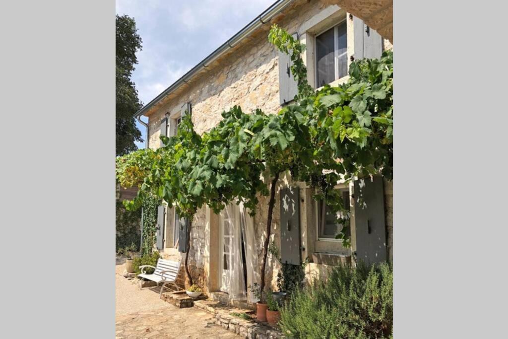 Vranje Selo Ferienhaus Villa Alisia, Wunderschoenes Natursteinhaus Bei Porec, Istrien, Kroatien מראה חיצוני תמונה